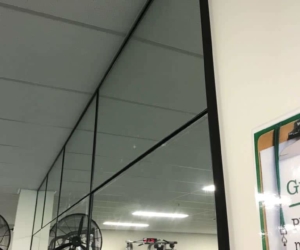 Project Lite n' Easy Gym Mirrors (3 of 3)