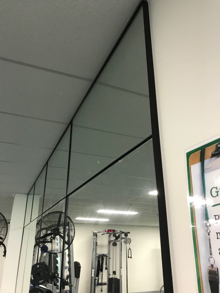 Project Lite n' Easy Gym Mirrors (3 of 3)