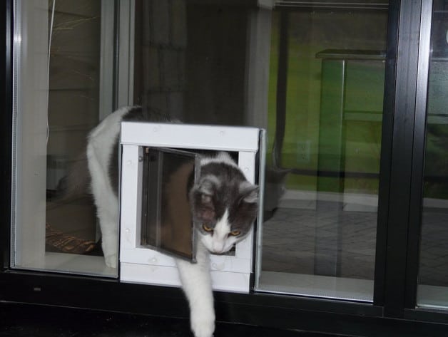pet friendly doors and windows
