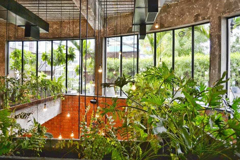 installing windows overseeing a garden in Sydney