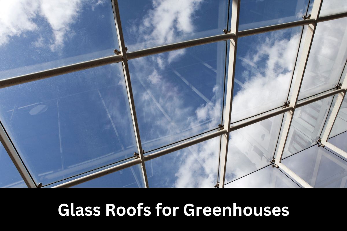 Glass Roofs for Greenhouses