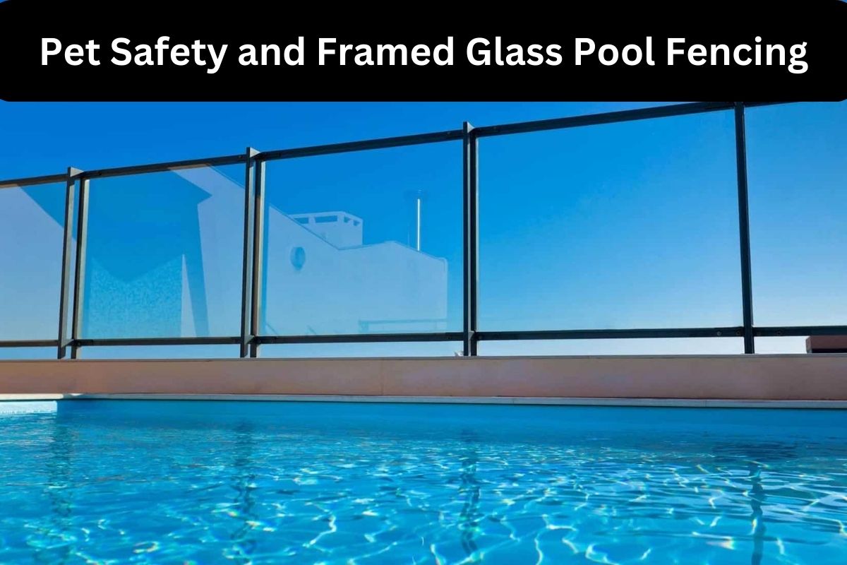Pet Safety and Framed Glass Pool Fencing